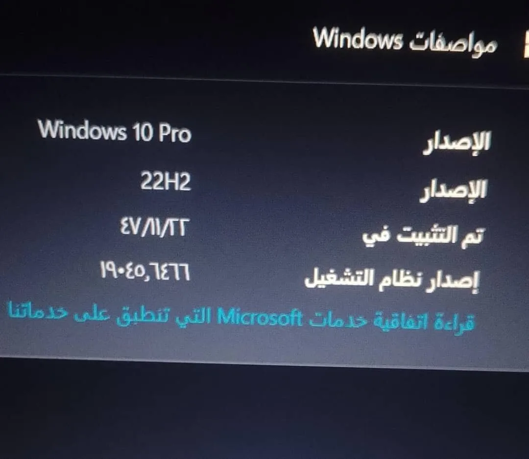 دير الزور  الميادين — صورة 3