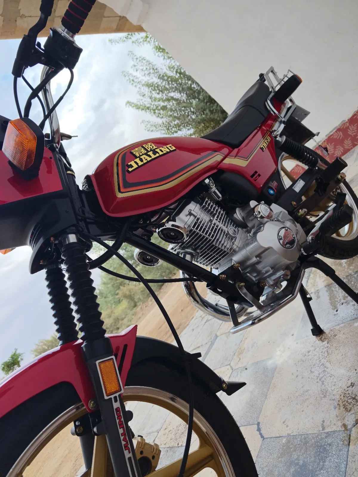 دير الزور البوليل — صورة 4