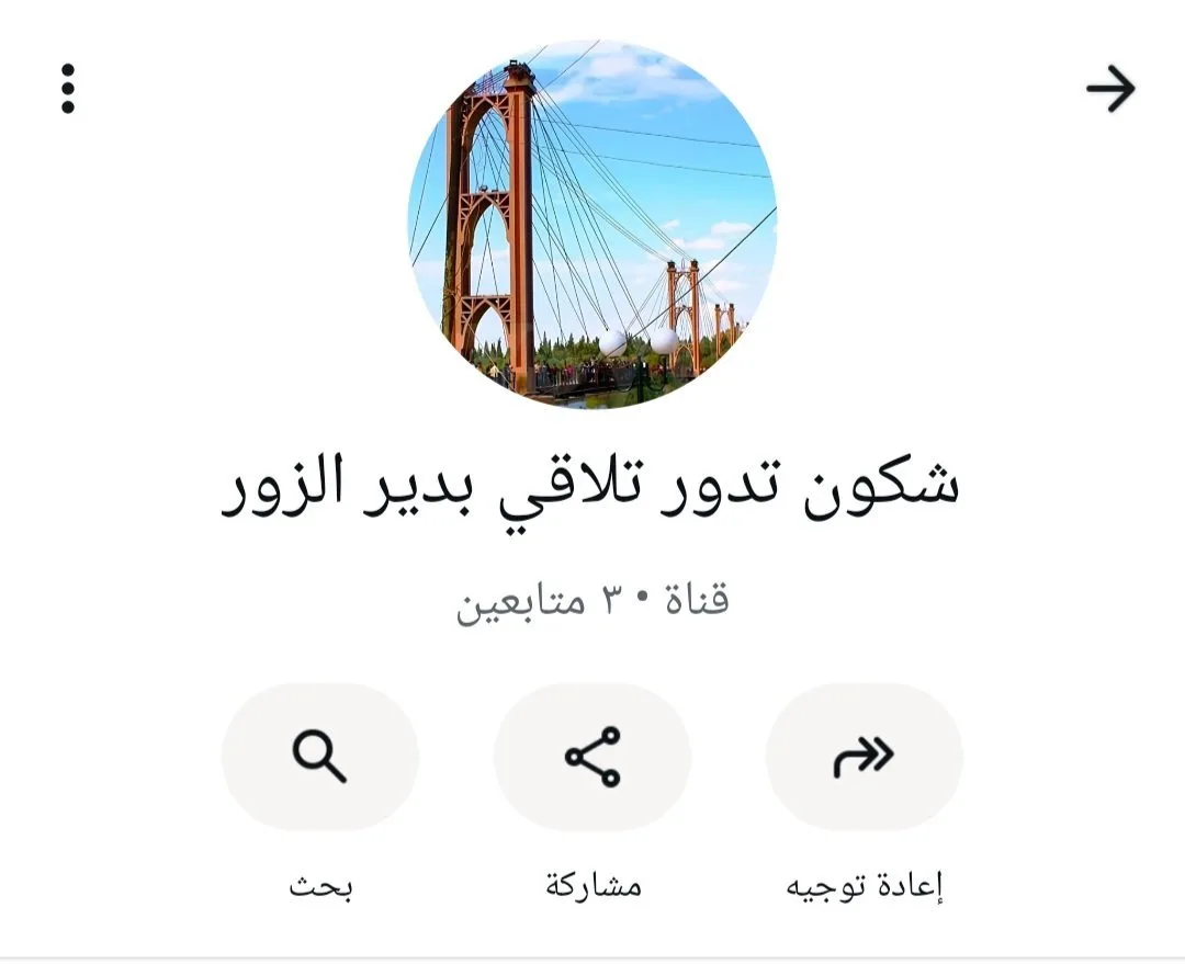 قناة واتساب فيما يخص ديرالزور — صورة 2